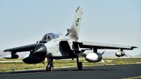 Photo ID 236651 by Nicholas Carmassi. Saudi Arabia Air Force Panavia Tornado IDS, 8309