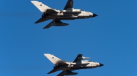 Photo ID 237817 by Varani Ennio. Italy Air Force Panavia Tornado IDS T, MM55006