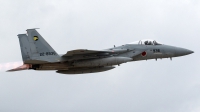 Photo ID 237956 by Walter Van Bel. Japan Air Force McDonnell Douglas F 15J Eagle, 22 8936