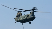 Photo ID 241266 by Thomas Ziegler - Aviation-Media. Netherlands Air Force Boeing Vertol CH 47D Chinook, D 102