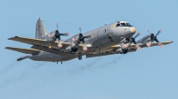 Photo ID 242645 by Sven Neumann. Germany Navy Lockheed P 3C Orion, 60 05