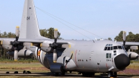 Photo ID 243050 by Walter Van Bel. Belgium Air Force Lockheed C 130H Hercules L 382, CH 11