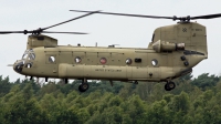 Photo ID 243261 by Richard de Groot. USA Army Boeing Vertol CH 47F Chinook, 15 08173