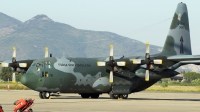 Photo ID 243345 by Claudio Tramontin. Brazil Air Force Lockheed C 130M Hercules L 382, 2476