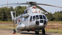 Photo ID 243592 by Walter Van Bel. Croatia Air Force Mil Mi 171Sh, 223