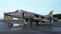 Photo ID 27341 by Tom Gibbons. UK Navy British Aerospace Sea Harrier FRS 1, ZD614