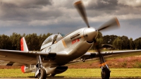 Photo ID 244141 by Alex Staruszkiewicz. Private Private North American TF 51D Mustang, PH VDF