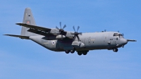 Photo ID 244160 by Matthias Bienentreu. Israel Air Force Lockheed Martin C 130J 30 Samson L 382, 662