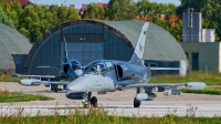 Photo ID 244517 by Radim Spalek. Czech Republic Air Force Aero L 159A ALCA, 6063