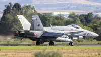 Photo ID 245488 by Ruben Galindo. Spain Air Force McDonnell Douglas C 15 Hornet EF 18A, C 15 49