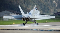 Photo ID 245696 by Sybille Petersen. Switzerland Air Force McDonnell Douglas F A 18C Hornet, J 5021