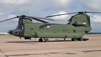 Photo ID 245901 by Peter Fothergill. Netherlands Air Force Boeing Vertol CH 47D Chinook, D 103