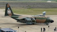 Photo ID 27624 by Martin Kubo. Argentina Air Force Lockheed C 130H Hercules L 382, TC 61