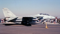 Photo ID 246095 by Michael Baldock. USA Navy Grumman F 14A Tomcat, 161287