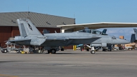 Photo ID 247170 by Niels Roman / VORTEX-images. USA Navy Boeing F A 18F Super Hornet, 165805