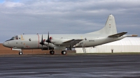 Photo ID 247246 by Peter Fothergill. Germany Navy Lockheed P 3C Orion, 60 01