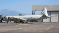 Photo ID 247599 by Giampaolo Tonello. Spain Air Force Lockheed P 3B Orion, P 3M 12