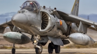 Photo ID 247604 by MANUEL ACOSTA. Spain Navy McDonnell Douglas EAV 8B Harrier II, VA 1B 36
