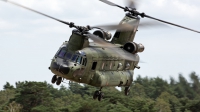 Photo ID 248182 by Niels Roman / VORTEX-images. Netherlands Air Force Boeing Vertol CH 47D Chinook, D 101