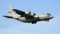 Photo ID 248163 by Niels Roman / VORTEX-images. USA Air Force Lockheed C 130H Hercules L 382, 95 6712