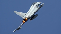 Photo ID 247742 by Niels Roman / VORTEX-images. UK Air Force Eurofighter Typhoon FGR4, ZK306