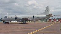 Photo ID 248455 by Peter Fothergill. Germany Navy Lockheed P 3C Orion, 60 03