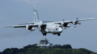 Photo ID 248551 by Shotaro Shimizu. Japan Air Force Lockheed C 130H Hercules L 382, 45 1074