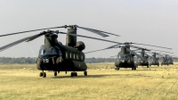 Photo ID 249512 by F. Javier Sánchez Gómez. Spain Army Boeing Vertol CH 47D Chinook, HT 17 19