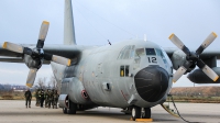 Photo ID 249549 by Ruben Galindo. Spain Air Force Lockheed KC 130H Hercules L 382, TK 10 12