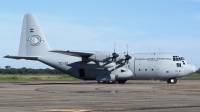 Photo ID 249984 by Cristian Ariel Martinez. Argentina Air Force Lockheed C 130H Hercules L 382, TC 61