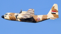 Photo ID 250539 by Ruben Galindo. Egypt Air Force Lockheed C 130H Hercules L 382, 1280