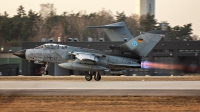 Photo ID 251360 by Thomas Ziegler - Aviation-Media. Germany Air Force Panavia Tornado IDS T, 43 97