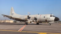 Photo ID 251822 by Giampaolo Tonello. Spain Air Force Lockheed P 3B Orion, P 3M 12