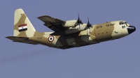 Photo ID 252435 by F. Javier Sánchez Gómez. Egypt Air Force Lockheed C 130H Hercules L 382, 1275
