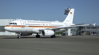 Photo ID 252892 by Matthias Becker. Germany Air Force Airbus A319 133X, 15 01