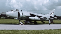 Photo ID 252933 by Matthias Becker. UK Navy British Aerospace Sea Harrier FA 2, ZH800