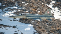 Photo ID 253041 by Tonnie Musila. Switzerland Air Force Northrop F 5E Tiger II, J 3070