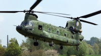 Photo ID 253367 by Carl Brent. Netherlands Air Force Boeing Vertol CH 47D Chinook, D 667