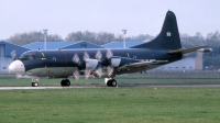 Photo ID 254293 by Marc van Zon. Netherlands Navy Lockheed P 3C Orion, 312