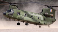 Photo ID 254643 by Mark Broekhans. Netherlands Air Force Boeing Vertol CH 47D Chinook, D 103