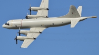 Photo ID 255032 by João Maurício. Portugal Air Force Lockheed P 3C Orion, 14810