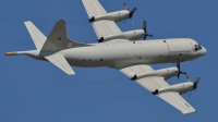 Photo ID 255034 by João Maurício. Portugal Air Force Lockheed P 3C Orion, 14810