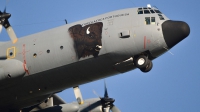 Photo ID 255310 by João Maurício. Portugal Air Force Lockheed C 130H 30 Hercules L 382, 16801