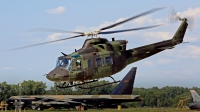 Photo ID 256264 by David F. Brown. Canada Air Force Bell CH 146 Griffon 412CF, 146401