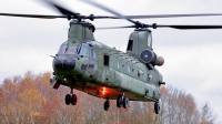 Photo ID 258775 by Carl Brent. Netherlands Air Force Boeing Vertol CH 47D Chinook, D 101