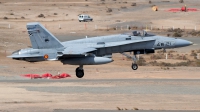 Photo ID 258977 by Luis Miguel Rodriguez. Spain Air Force McDonnell Douglas F A 18A Hornet, C 15 93