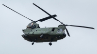 Photo ID 260231 by Lukas Lamberty. Netherlands Air Force Boeing Vertol CH 47D Chinook, D 665