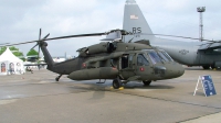 Photo ID 29156 by Günther Feniuk. USA Army Sikorsky UH 60A Black Hawk S 70A, 88 26071