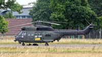 Photo ID 265522 by Rainer Mueller. UK Air Force Westland Puma HC2, XW231