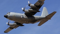 Photo ID 267775 by Fernando Sousa. Portugal Air Force Lockheed C 130H Hercules L 382, 16803